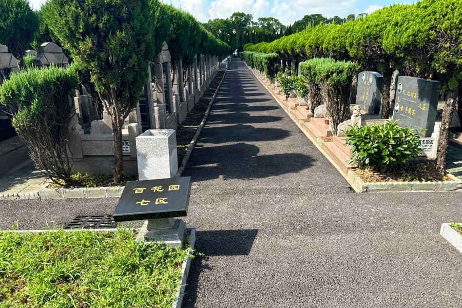 实拍景观