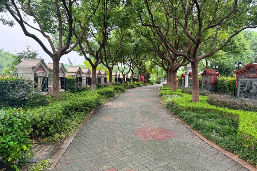 实拍景观