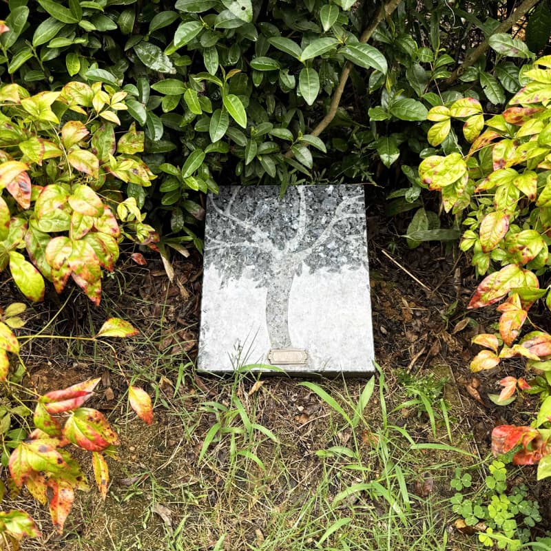 墓型3号