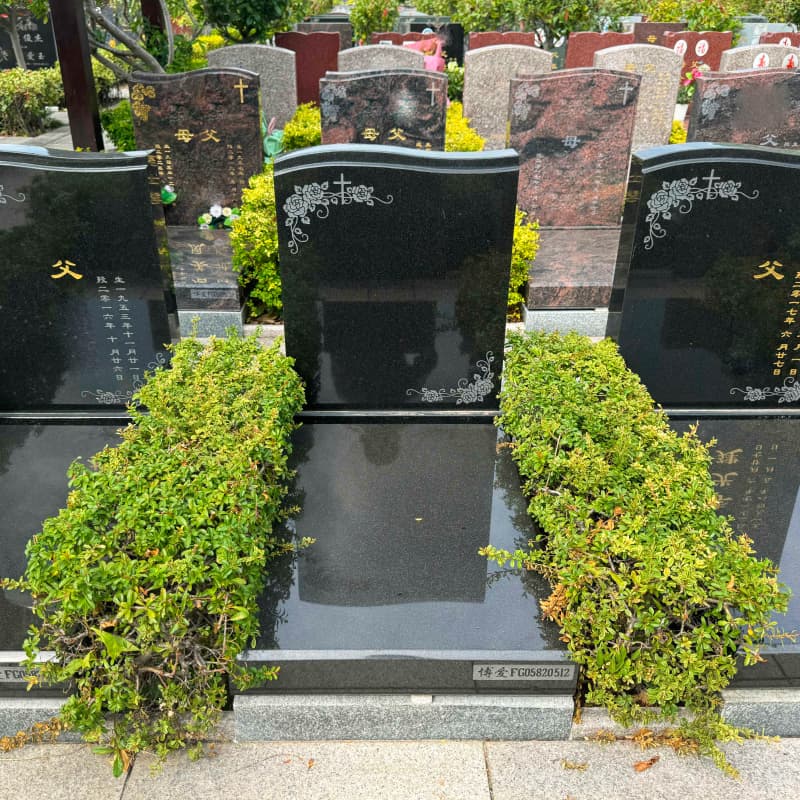墓型5号