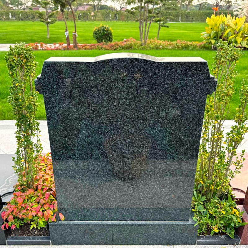 602.jpg